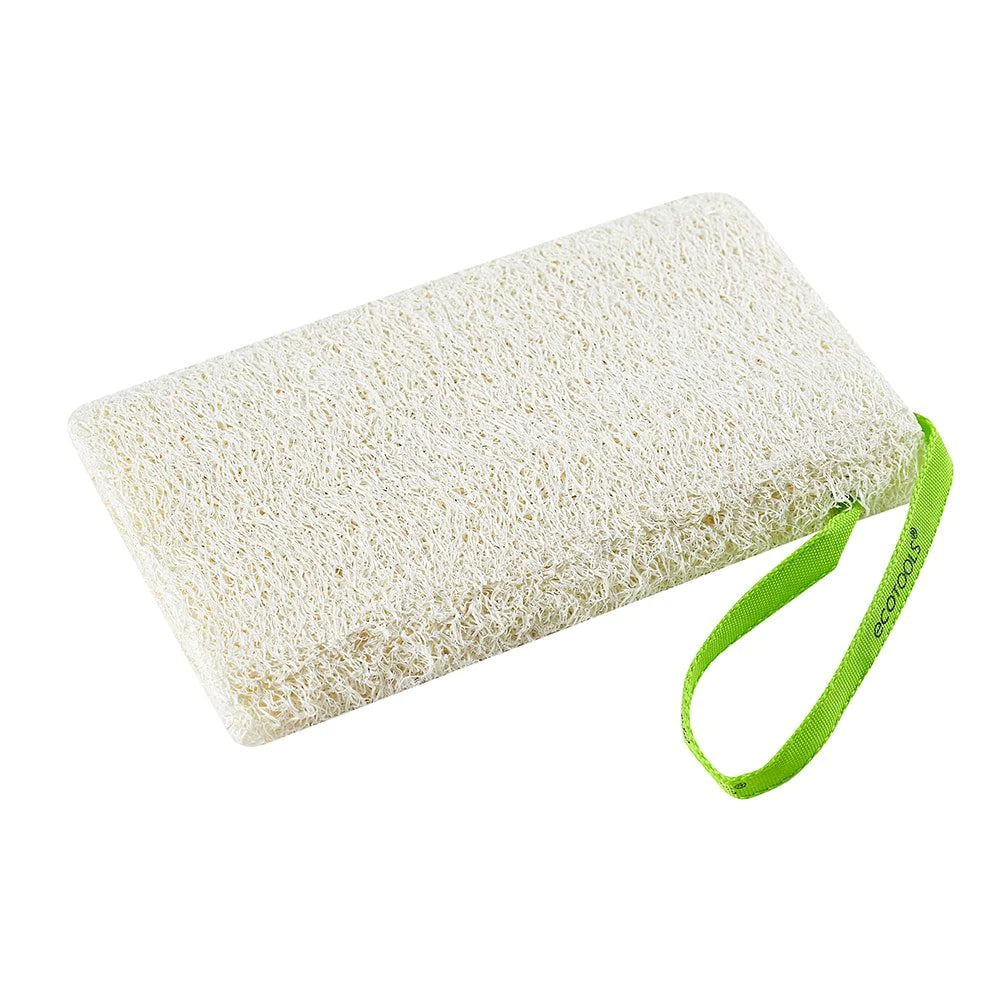 Body Sponge